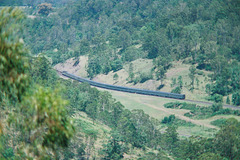 201001BorderRangesRail25Jan 127