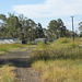 201001BorderRangesRail25Jan 121