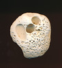 asteroid shell-IMG 0001