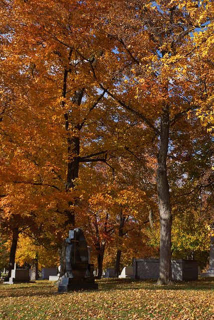 Autumn In The Cemetery