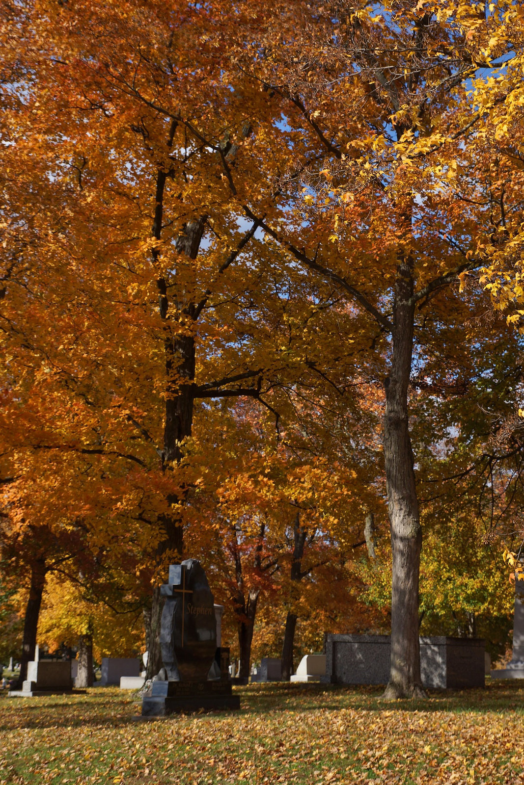 Autumn In The Cemetery