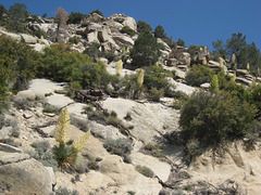 Trona ChimneyPeak 27