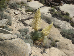 Trona ChimneyPeak 28