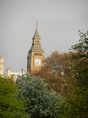 The Tower of Parliament