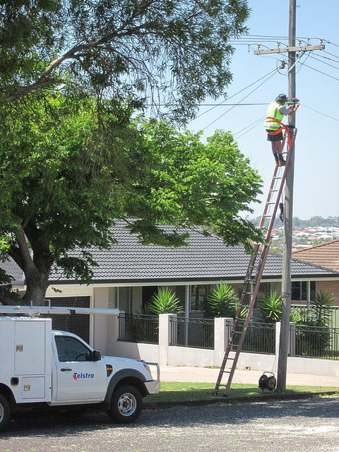 TreeRemoval201310 017