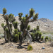 Trona ChimneyPeak 33