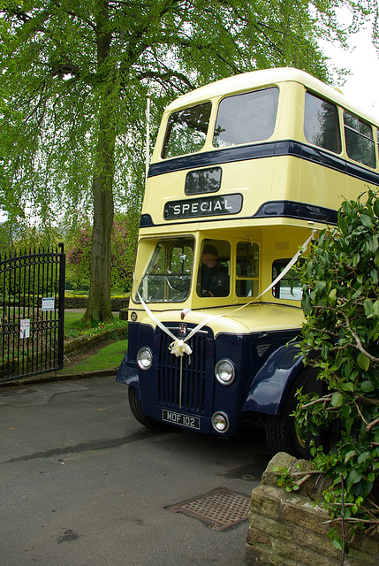 Belle Vue Bus