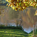 Impressionen - ein schöner Herbstmorgen - belega aŭtunmateno