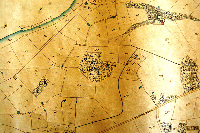 Hall Site (in red) and plantations, Thorington, Suffolk