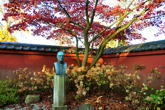 Hortus Botanicus of Leiden University – Von Siebold Garden