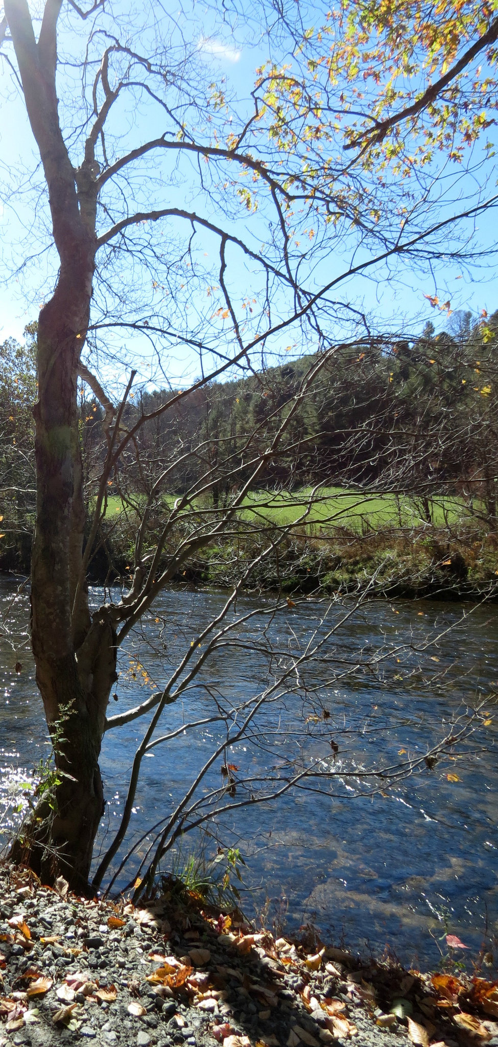 Fall along the New River ..