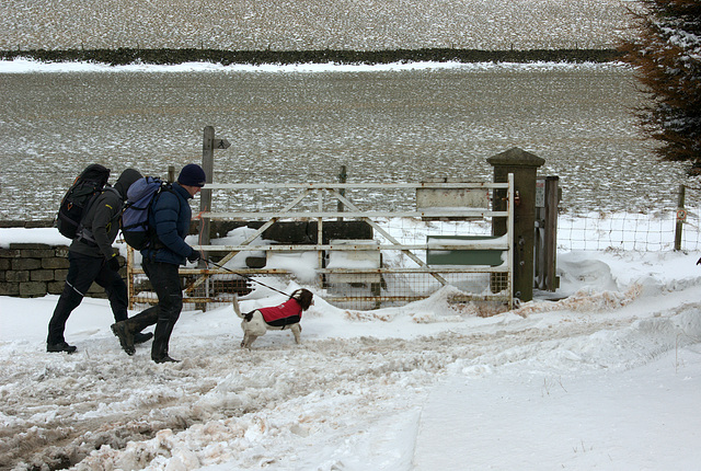 Fun, fun, fun ... in the snow