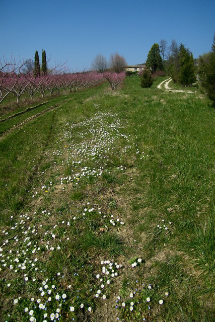 Dans la campagne drômoise