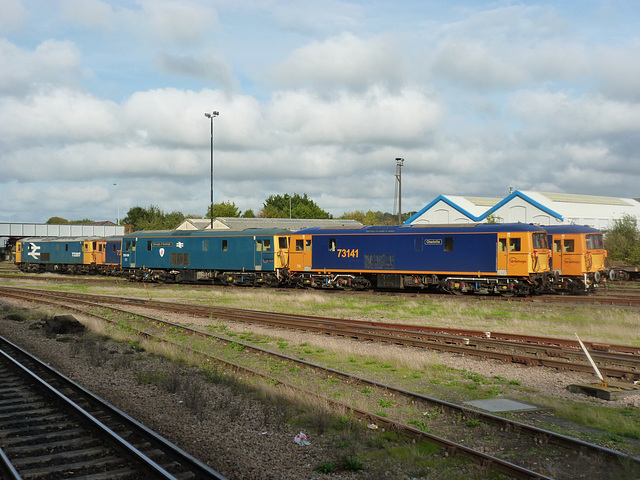 Class 73 - the Autumn of Their Years (2) - 24 October 2013