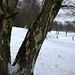 Glossop - Hurst Dam still standing !