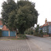 Three Ways. The Street. Walberswick. Suffolk (2)