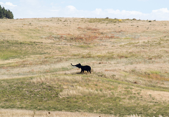 Rushville, NE rural art (0248)