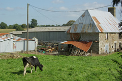 Farming in Landelles - September 2011