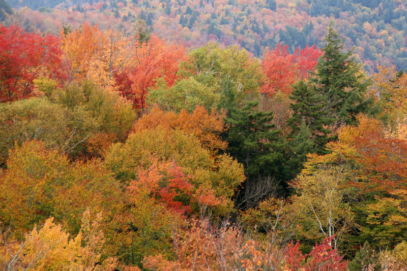 White Mountain scenery