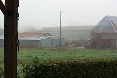 Misty morning in Landelles - September 2011