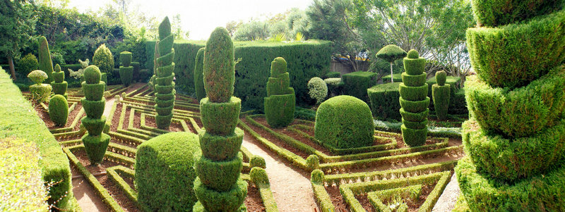 Madeira. Monte. Botanischer Garten.  ©UdoSm