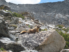 Rae Lakes 32