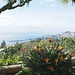 Madeira. Monte. Blick vom Botanischen Garten auf den Hafen von Funchal. ©UdoSm