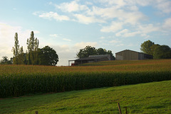 Agriculture in Landelles - September 2011