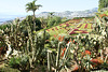 Madeira. Monte. Botanischer Garten. ©UdoSm