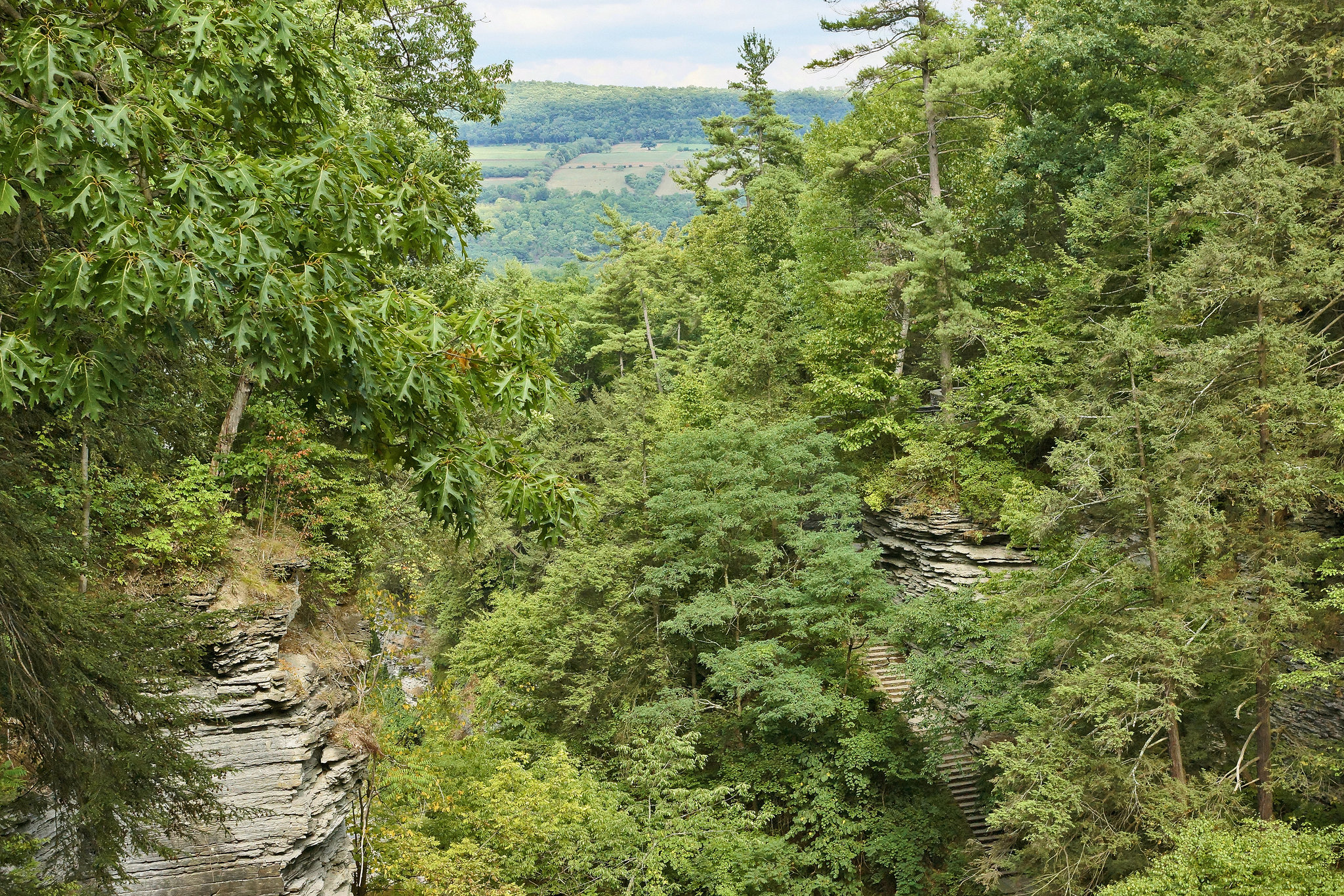 Panorama from up Top – Watkins Glen State Park, Watkins Glen, New York