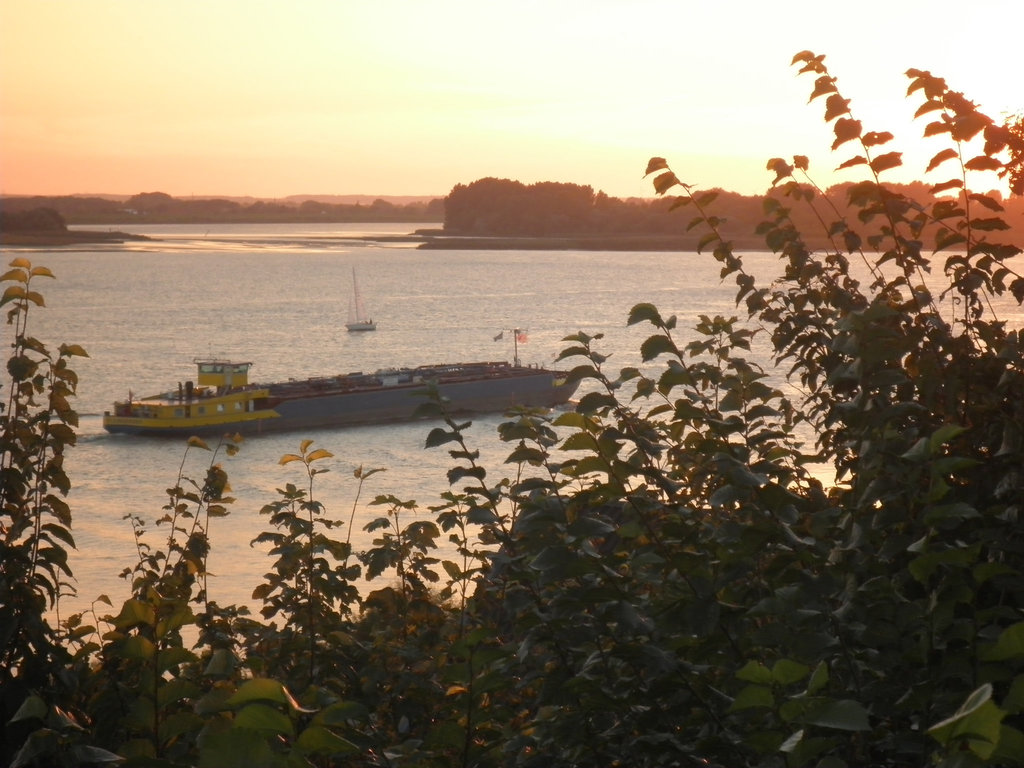 Abendstimmung an der Elbe