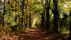 Ferry Point Trail