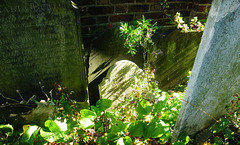 clapham st.paul's church, london
