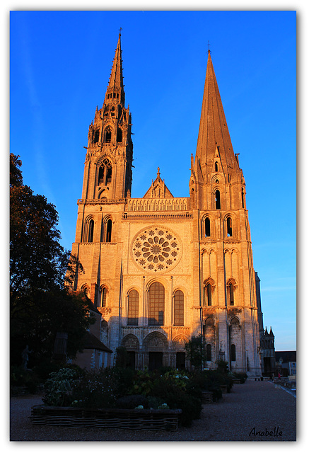 Cathédrale de Chartres