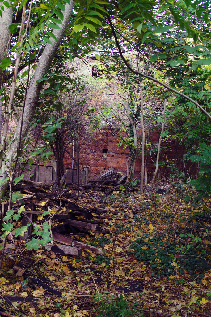 The old brewery