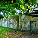 clapham st.paul's church, london