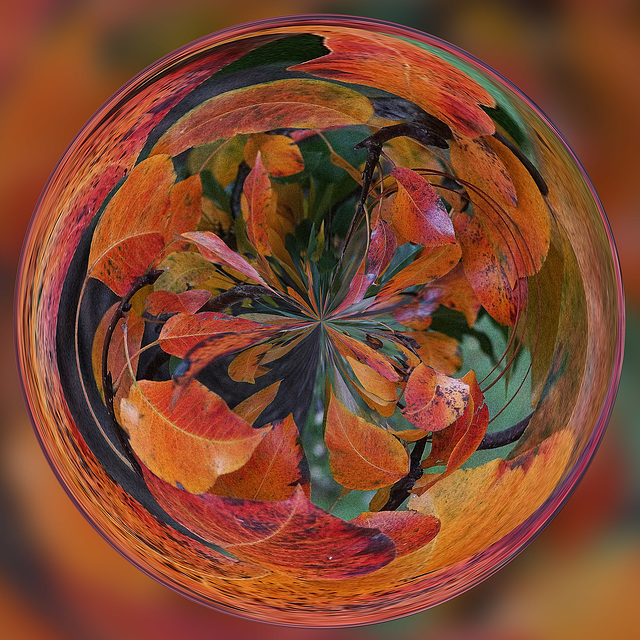 Autumn leaves Circle 2