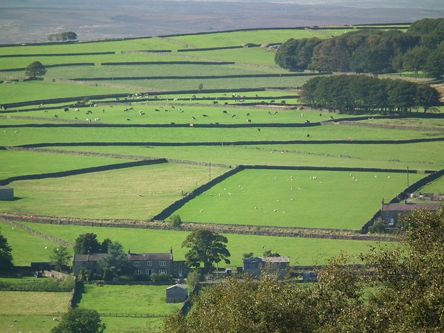 View from Brimham Rocks