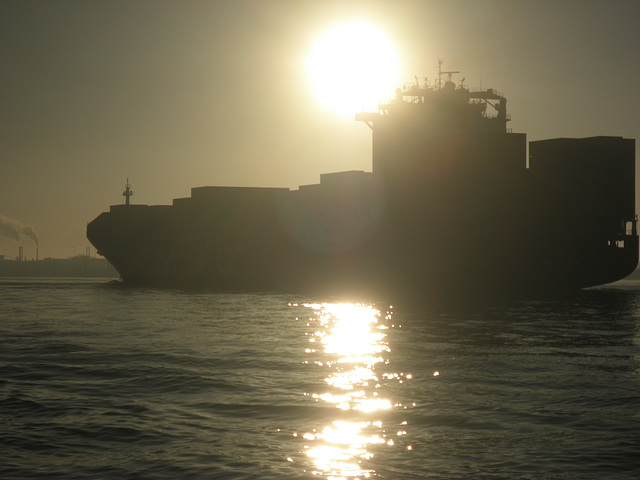 Containerschiff  MSC NURIA in der Morgensonne