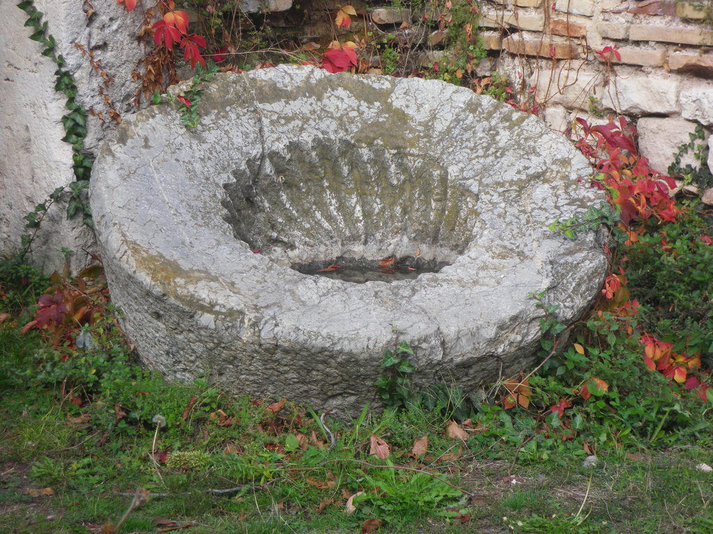 Thermes de Varna : fontaine à la coquille saint-Jacques.