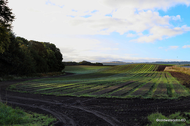 Fields near Tynet in Autumn