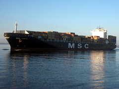 Containerschiff  MSC  NURIA