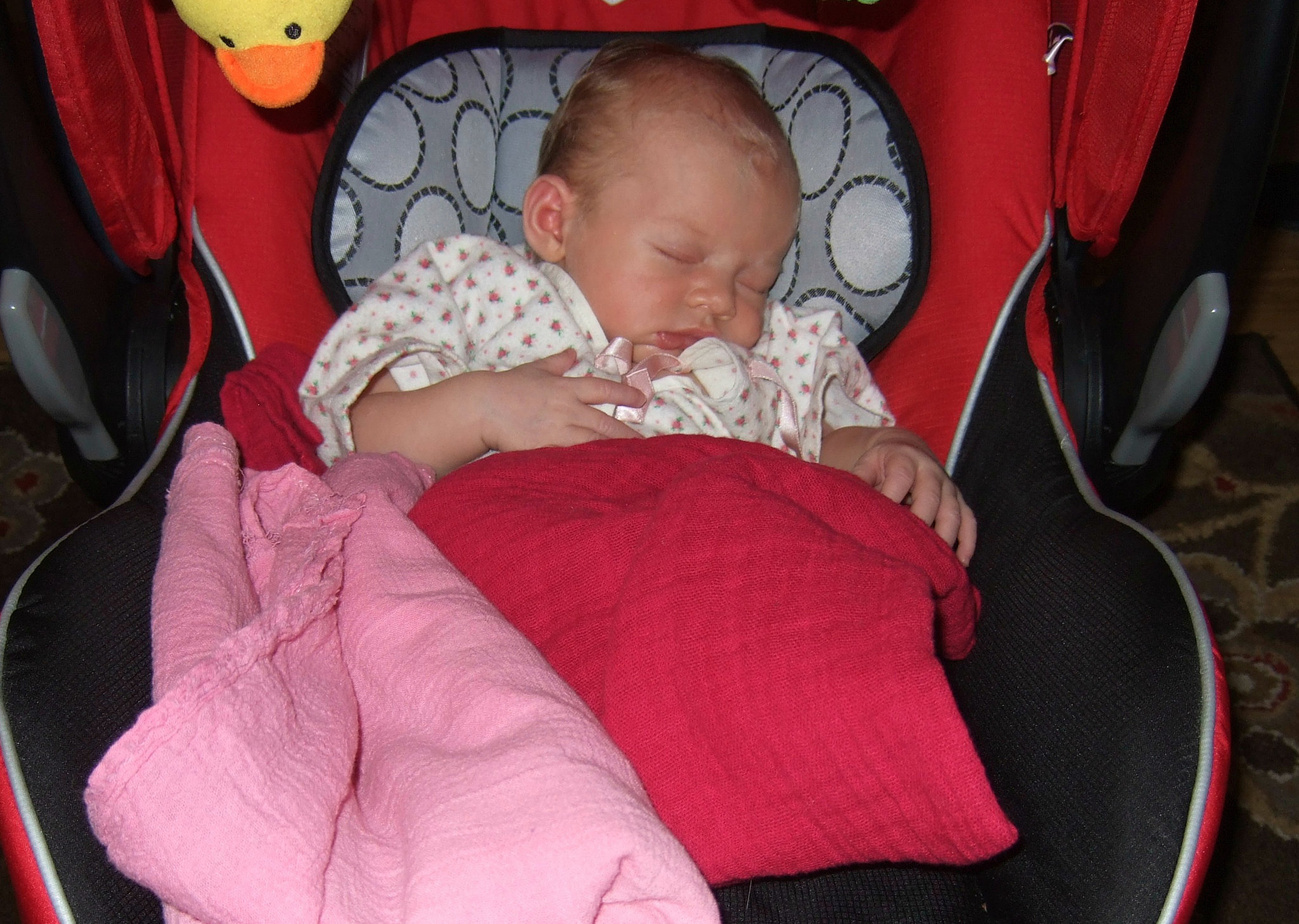 Tuckered Out