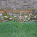 Three Ways. The Street. Walberswick. Suffolk (6) Three Ways. The Street. Walberswick. Suffolk (6)