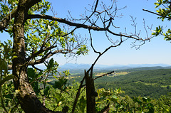 Vue de loin...