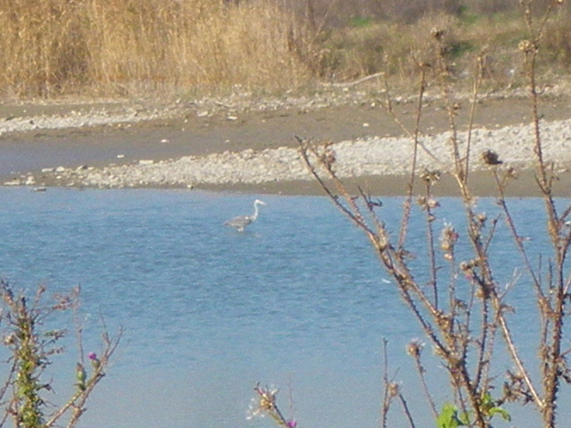 Plan d'eau devant le site de Nicopolis 1