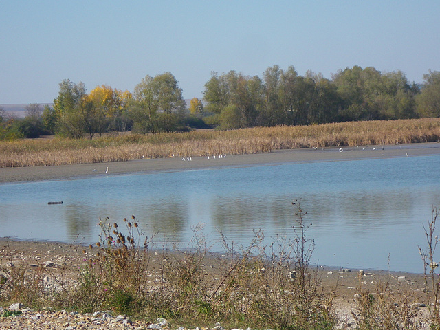 Plan d'eau devant le site de Nicopolis 2