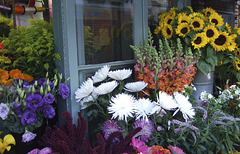 Oakland Flower Shop