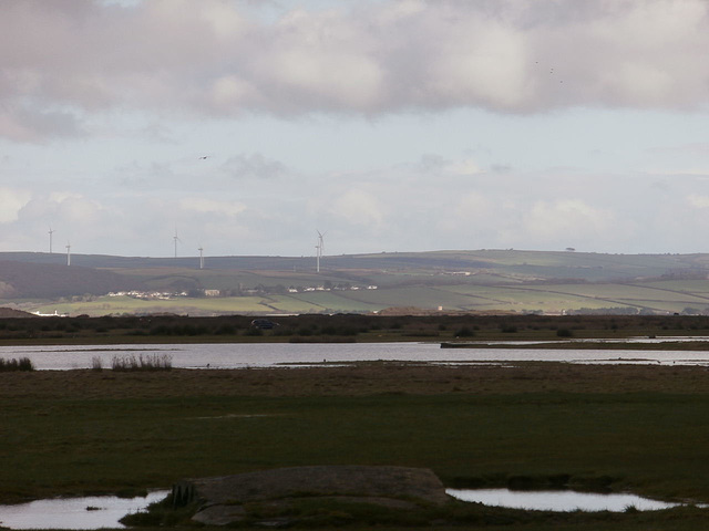 More of the flooding of the burrows