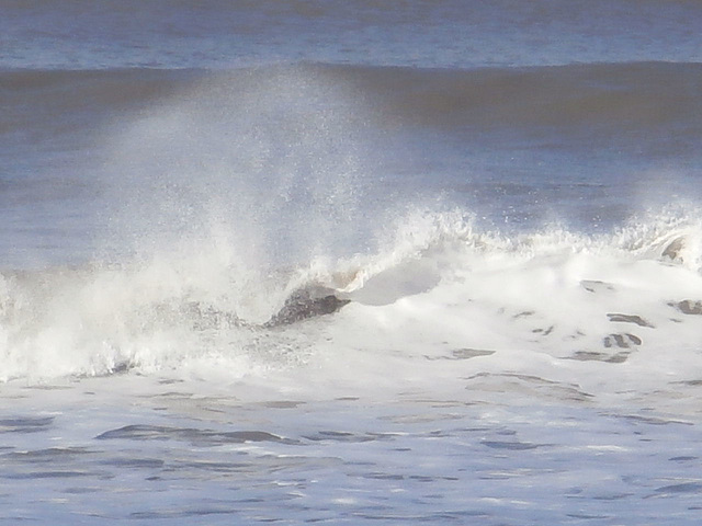 The spray being caught by the wind